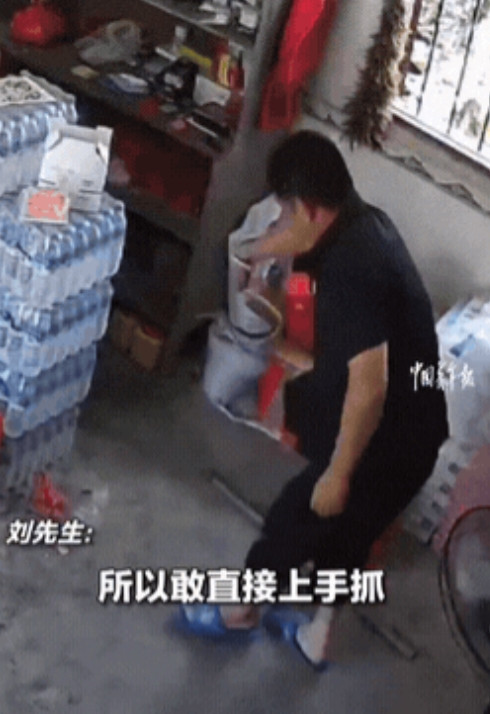 “太勇了！”江西赣州，一条蛇顶不住室外的高温，从马路上飞速往屋内“串门”，房屋主