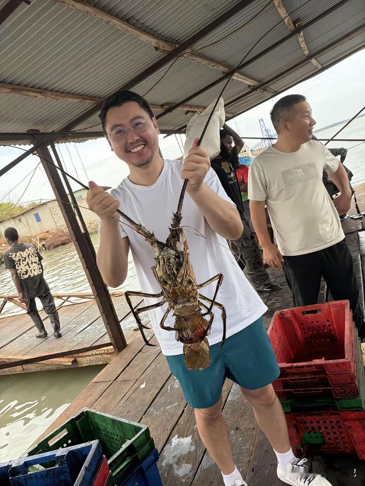 这也不像龙虾呀