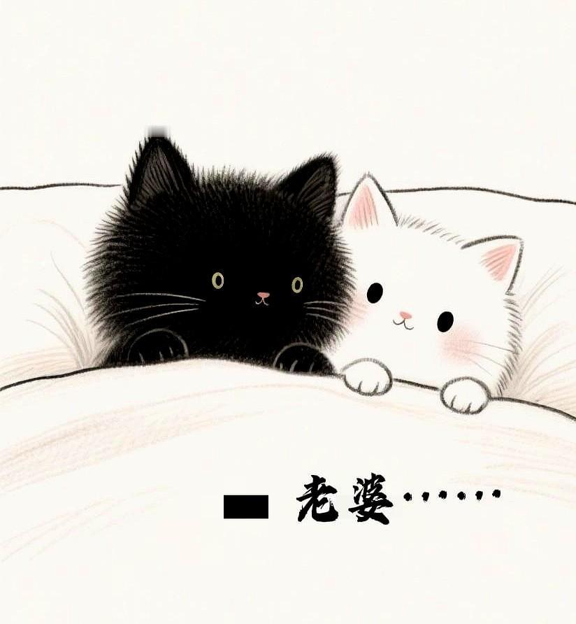 闺女一句“你俩算账跟我没关系”把夫妻战火瞬间冻住，也戳破成年人最尴尬的面子：77