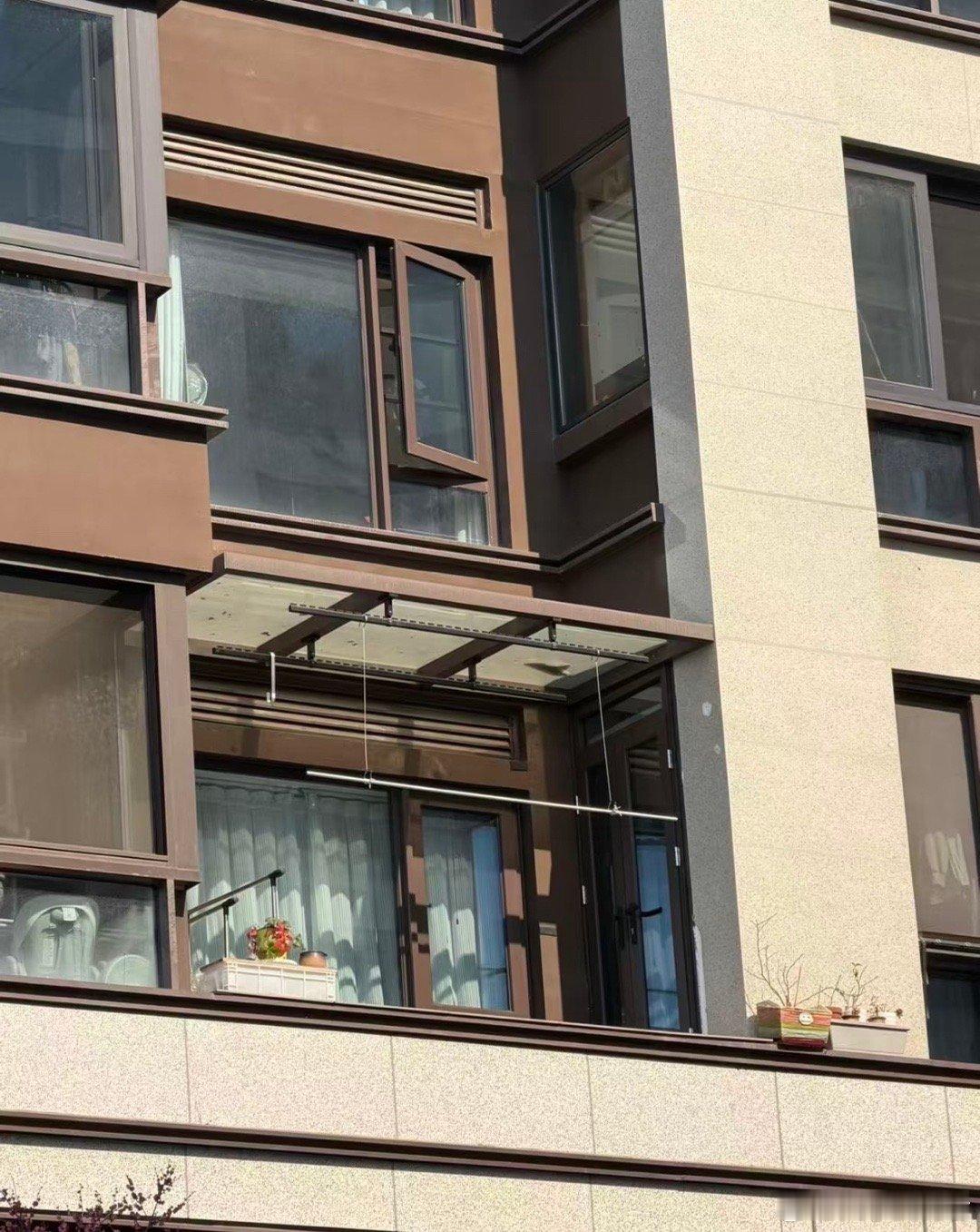 邻居这样怎么办啊？