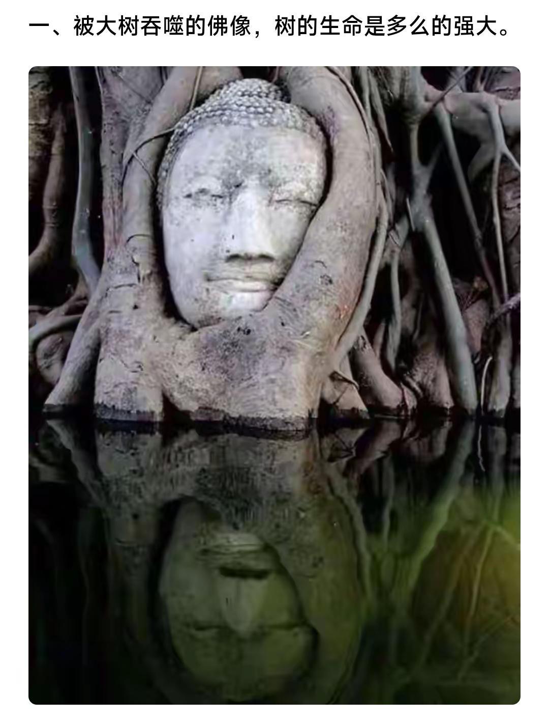 岁月留下的痕迹。上热搜强烈推荐