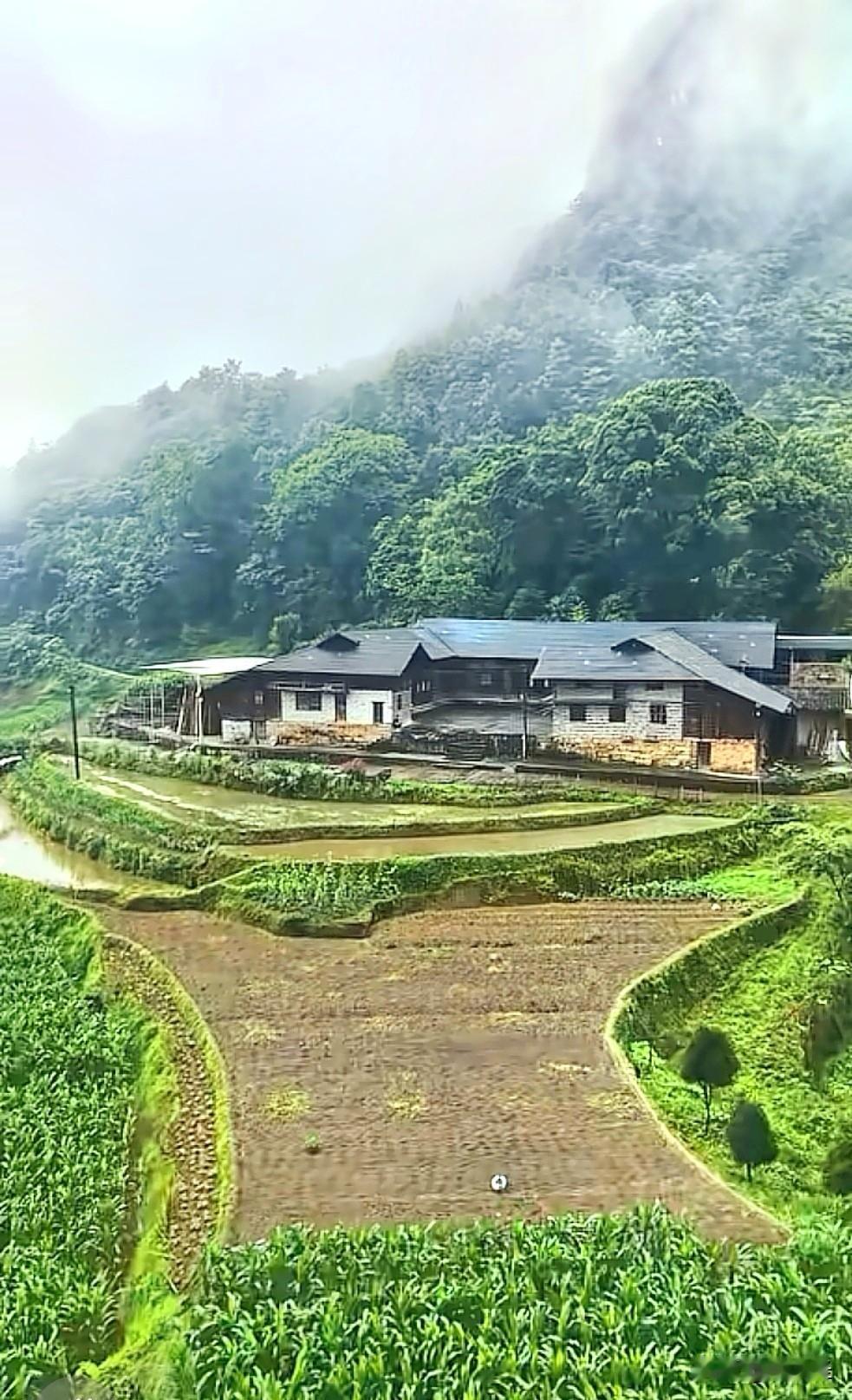 上周刚自驾钻进桂北的深山里，误打误撞撞见了同款风景。车沿着盘山公路绕了快四十分