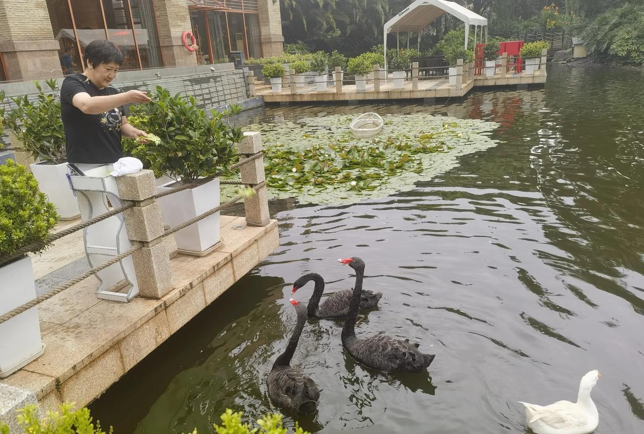 宫鲁鸣弃用李梦是否正常？很简单，如果你熟悉宫鲁鸣指导的性格和严厉的执教风格，就会