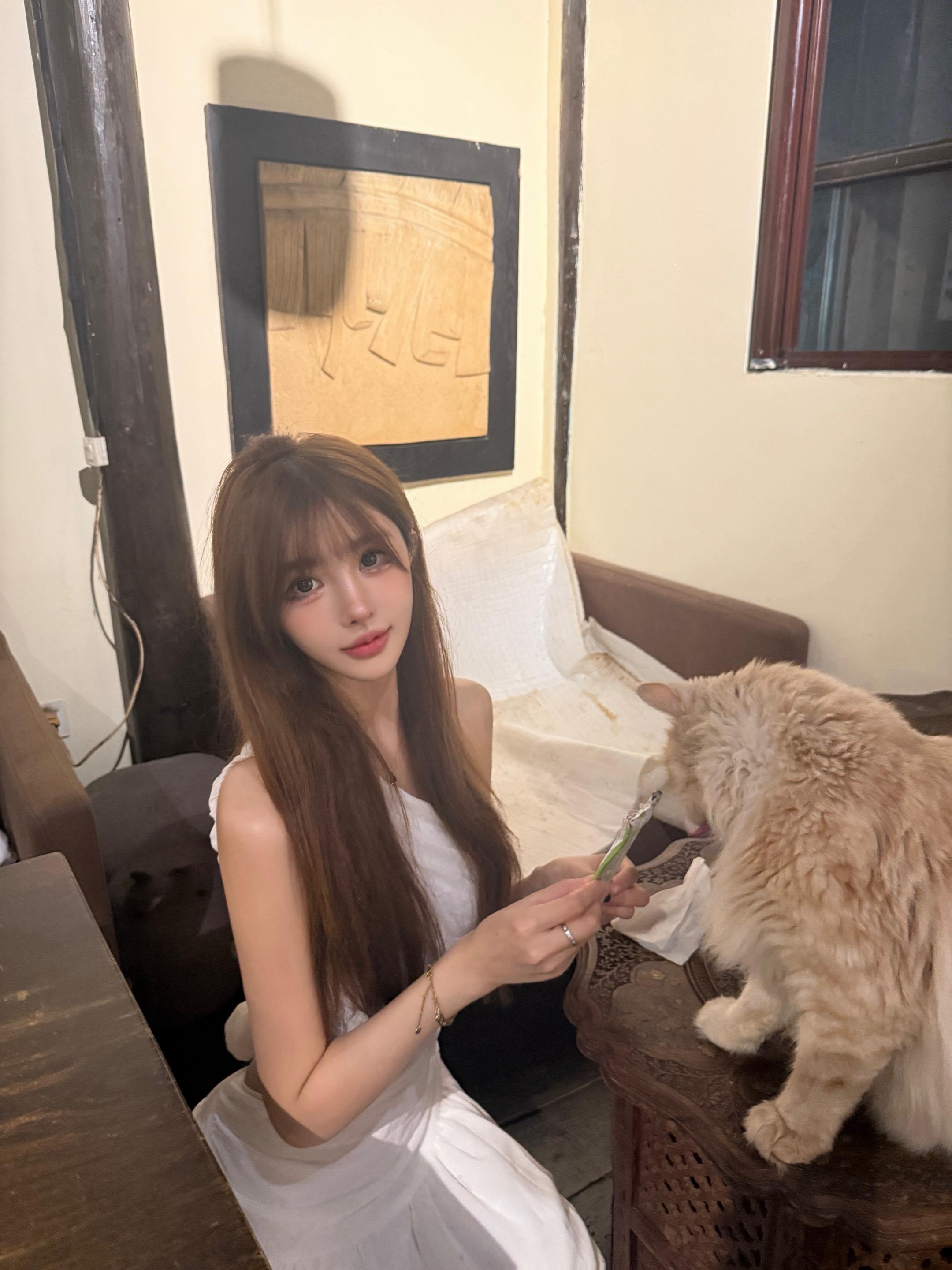 开心是小猫 不开心是失落小猫៸៸᳐⦁⩊⦁៸៸᳐ ੭ﾞ