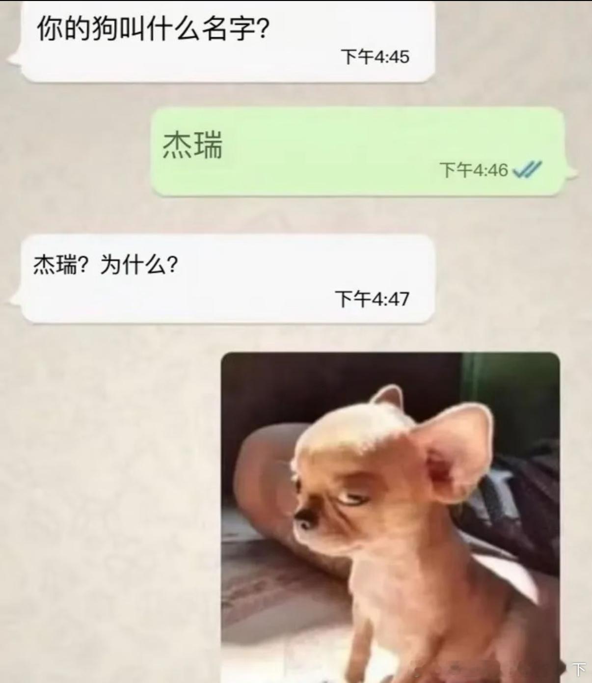 4922哈哈哈哈可爱​​​