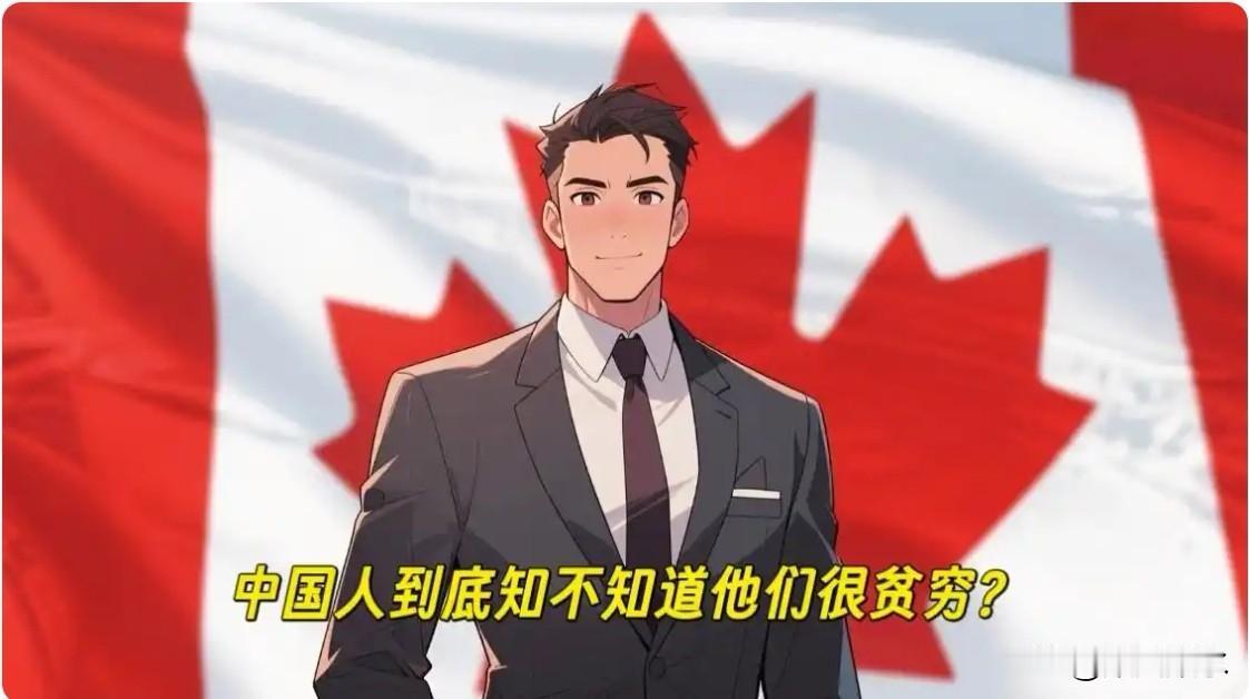 加拿大网友问“中国人知不知道自己很穷？”，韩国网友称中国因买不起贵东西，所以物价