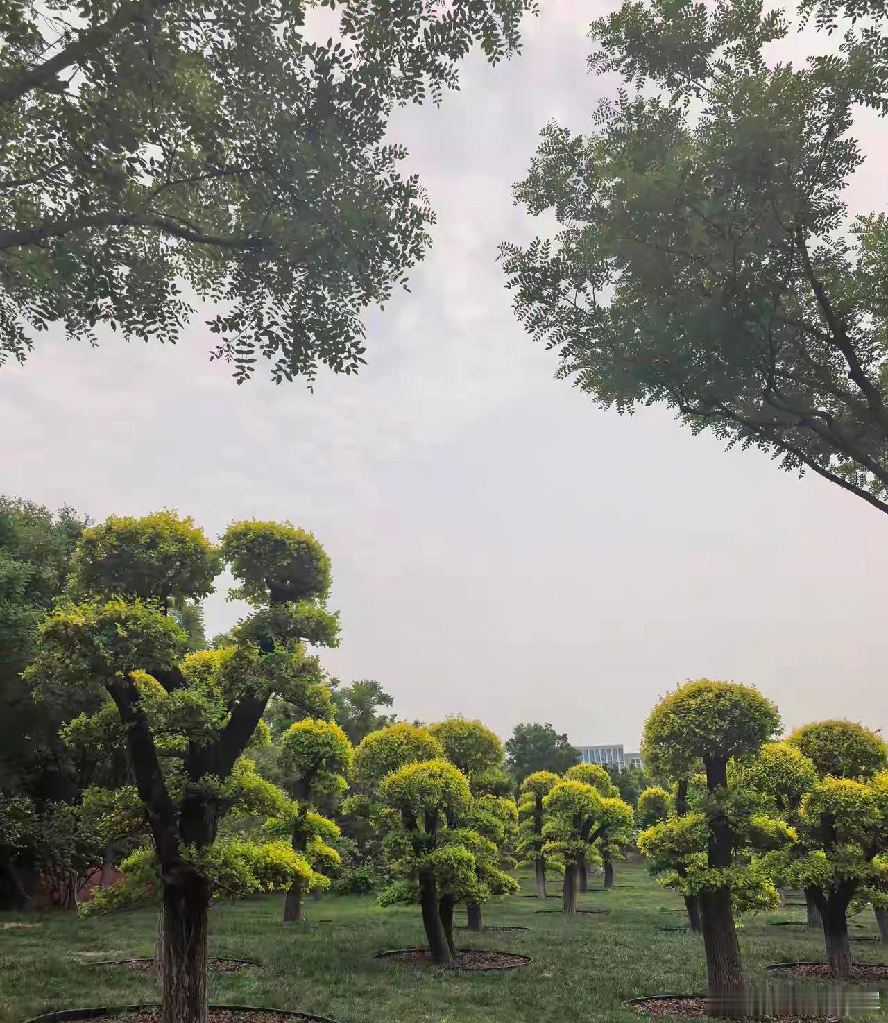 国有六大行的股东，都赚钱了吗？1.工商银行股东人数78.83万户，目前每股7.1