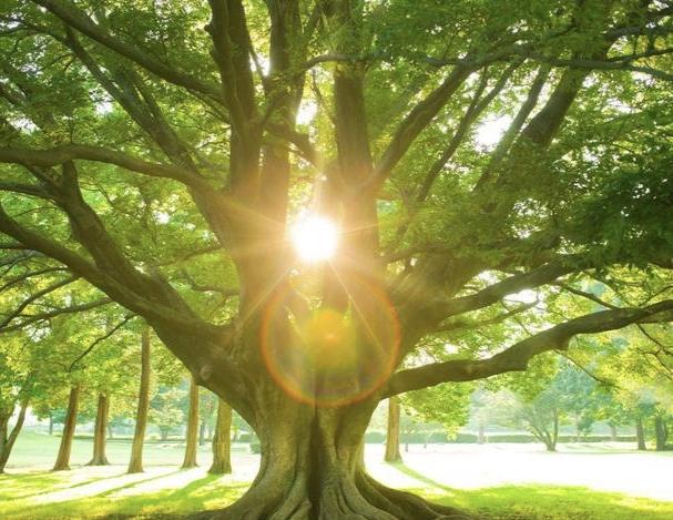 人生要有一个支撑点不然走着走着就慌了活着活着就觉得没滋味甚至会觉得自己活得