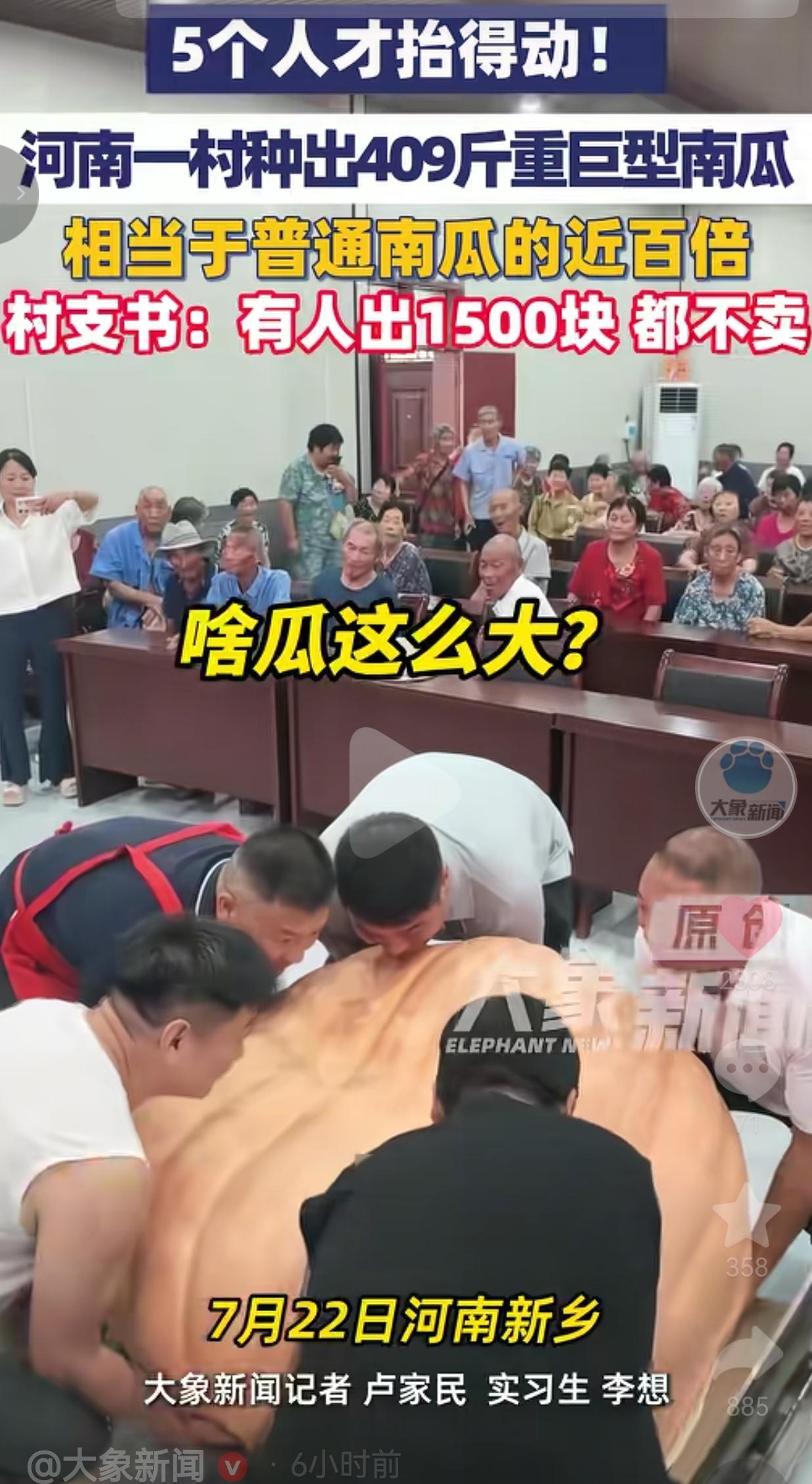 河南新乡惊现409斤巨型南瓜，五个人合力才抬动，有人出价1500元村支书坚决不卖