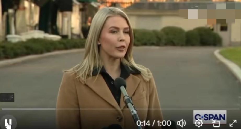 白宫发言人指控退役上尉、参议员马克·凯利（MarkKelly）试图“恐吓”13