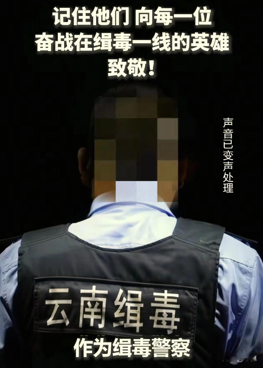 许仕林当官第一步，就是放了白素贞试想一下，作为缉毒警的你，一个平常的下午，