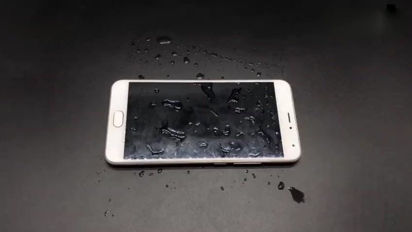 15106062788262352233.jpg?id=0