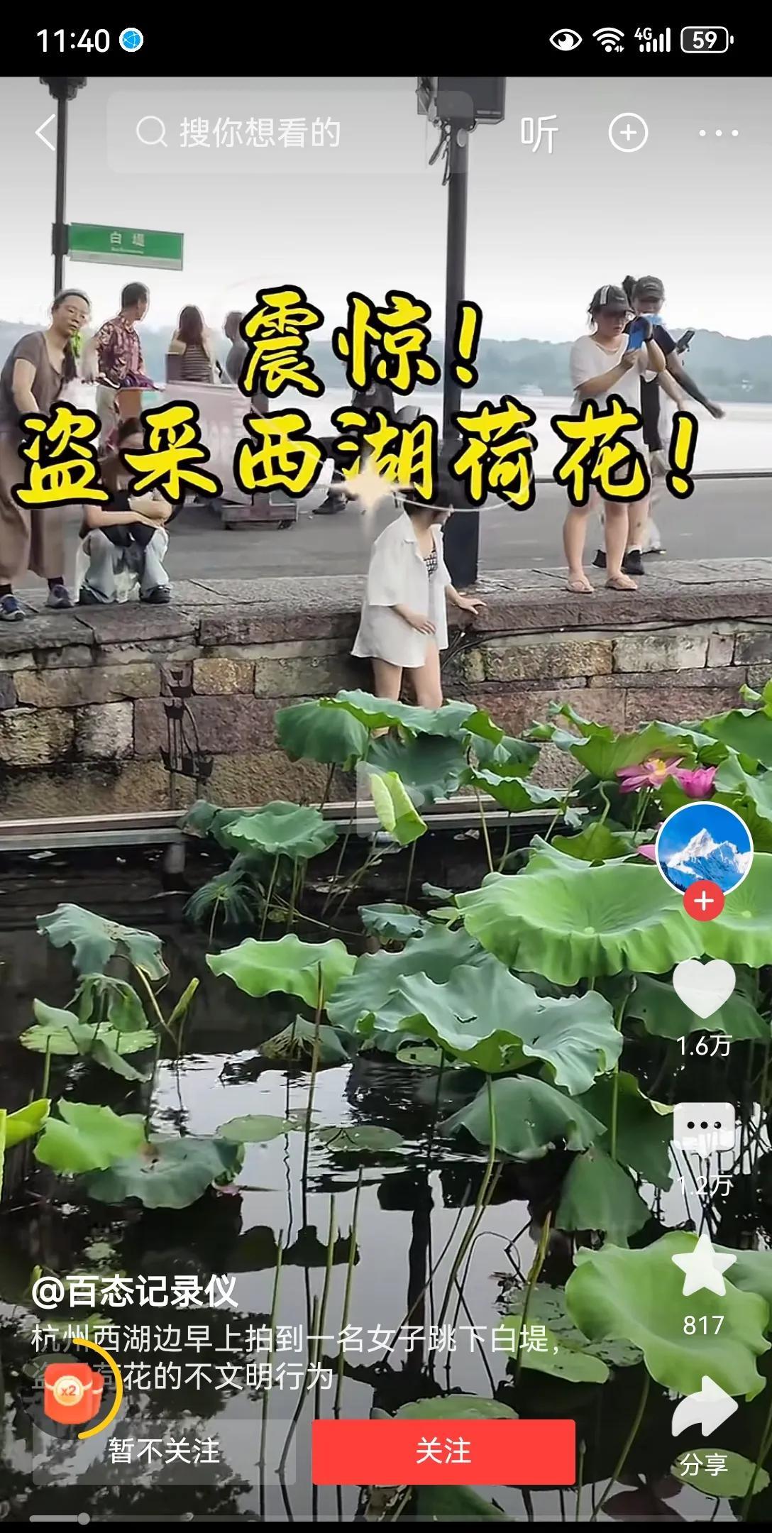 “丑人多作怪”，古人诚不欺我[笑着哭][捂眼睛]。西湖的荷花，是出淤泥而不染。然而