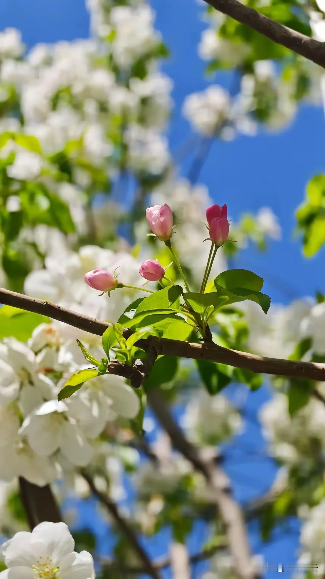 醍醐灌顶的一句话:“我有钱，但是我不花，我自己煮碗面吃。我生活艰苦，努力存钱。