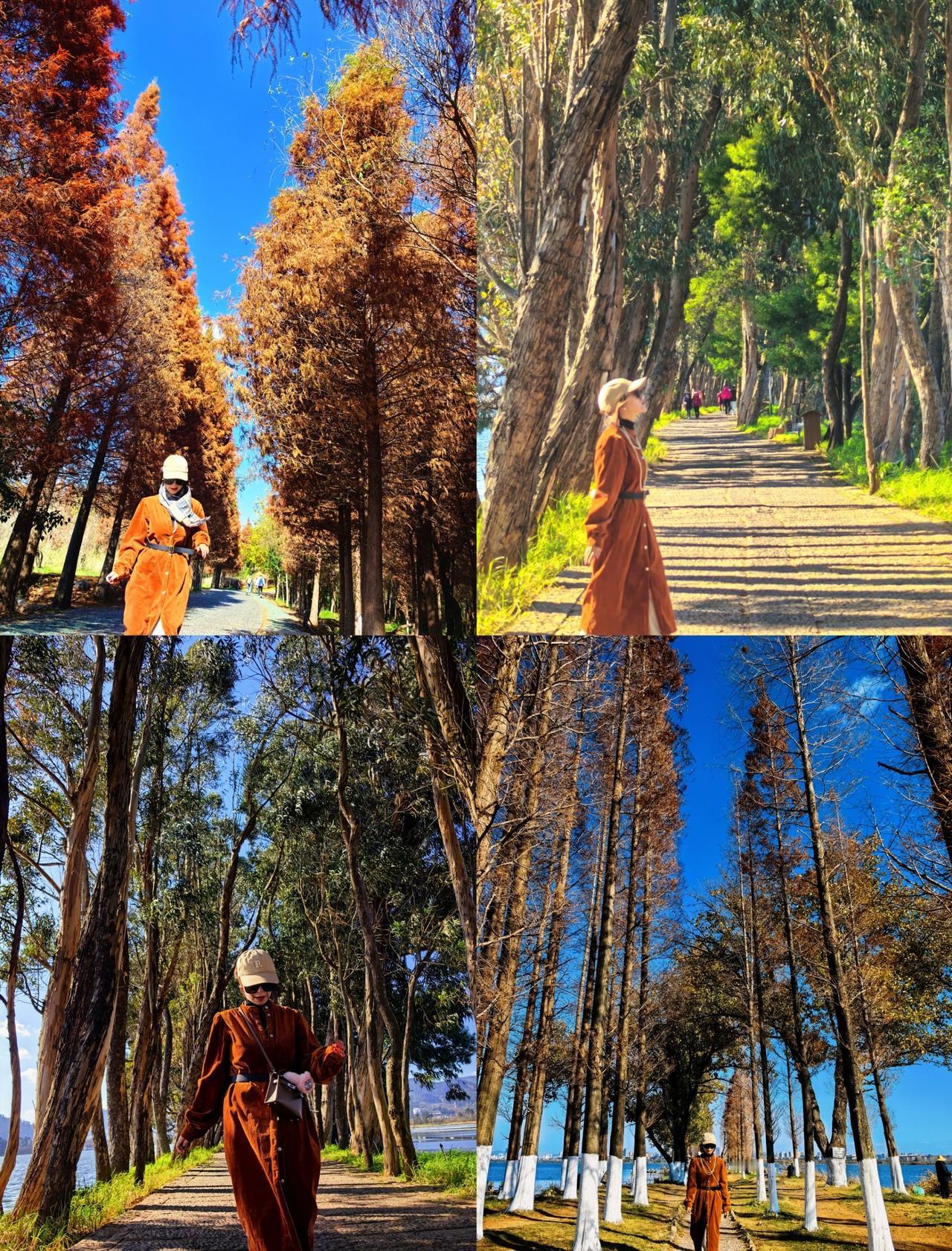 草海小徒步，七孔浮桥-芦堤翠堤-天空之镜📍昆明终于达成4月留念-想去的天