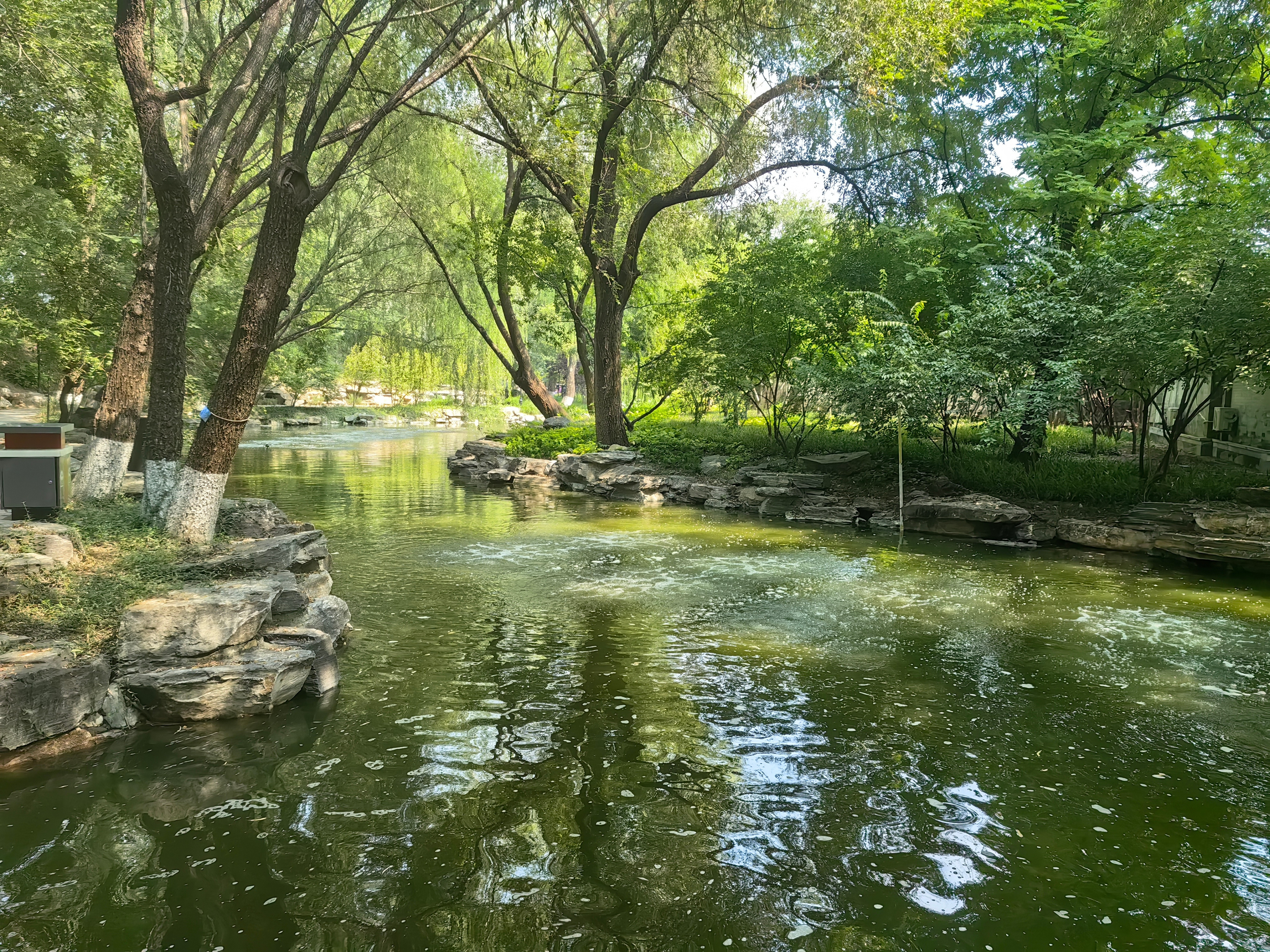 大学生活很丰富啊。和队友远途骑行，篝火晚会，有机会和世界冠军加微信学国际象棋。同时也让自己的体重下降