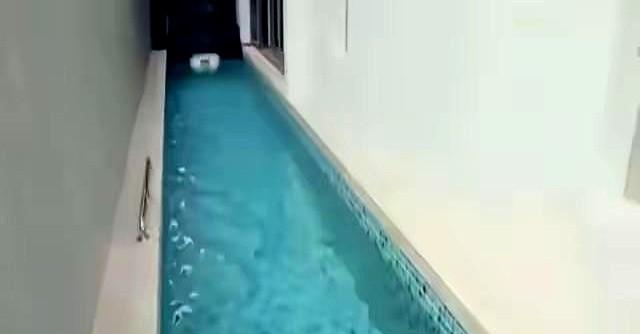 香港演员许绍雄在新加坡家中打造了一座紧邻客厅的室内恒温泳池，十年如一日，老两口每