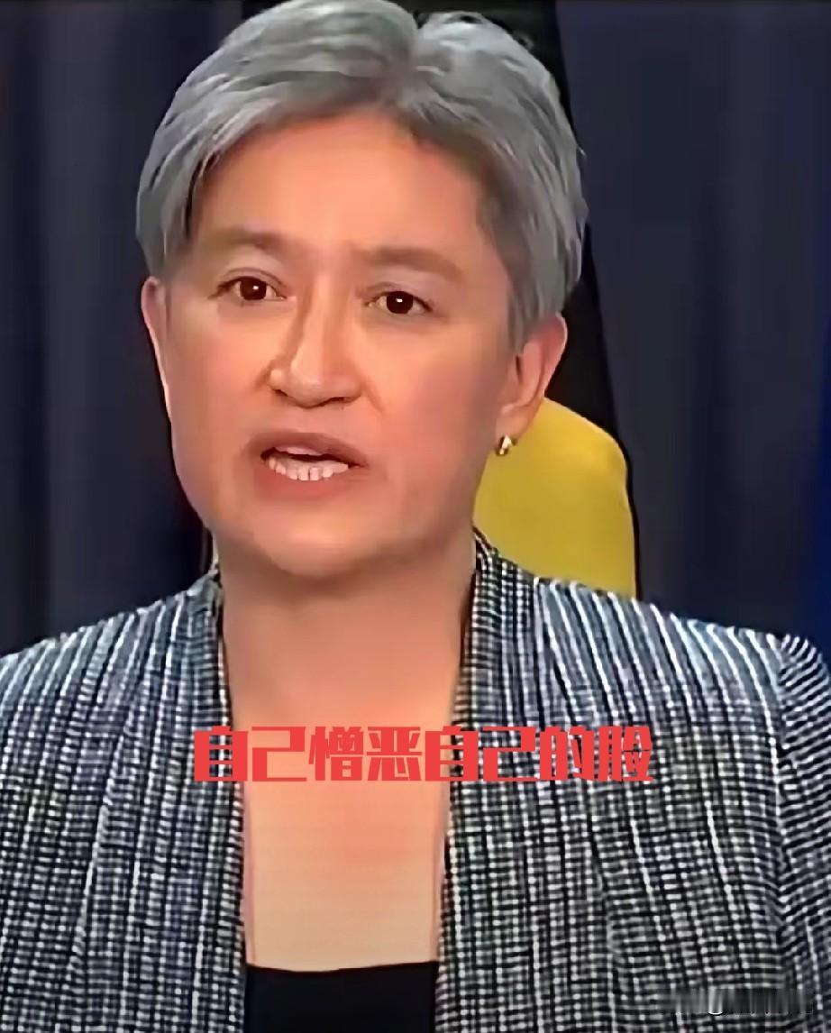 反华急先锋非澳大利亚莫属，这个靠资源吃饭，没啥科技积累的国家，做事却总是表率作用