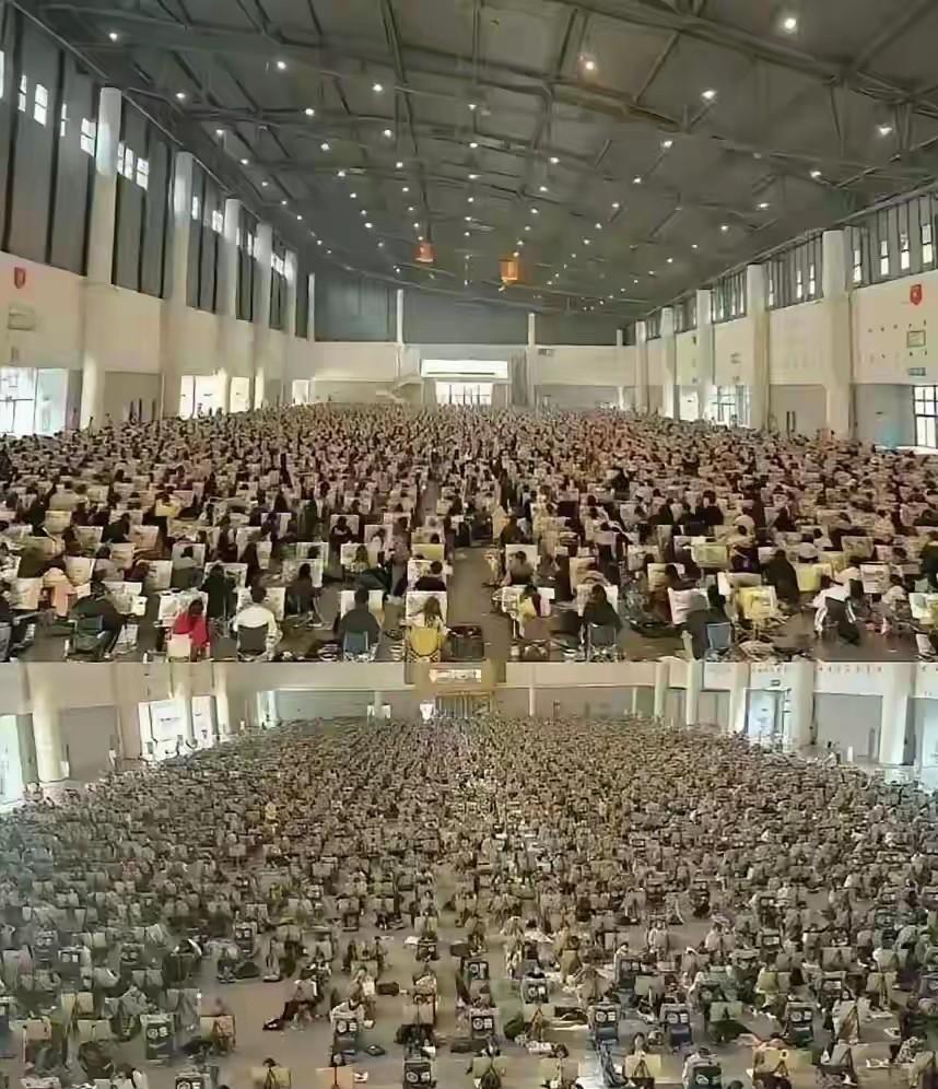 美术专业的前景很好吗？怎么这么多人在学美术