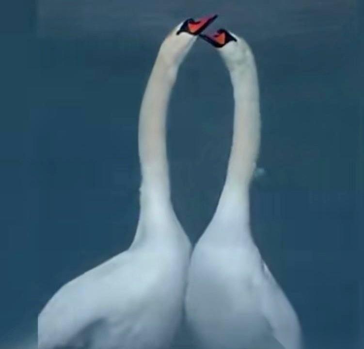 我表妹那个婚事，临门一脚，黄了。不是因为彩礼，也不是因为房子，就因为一顿饭，和