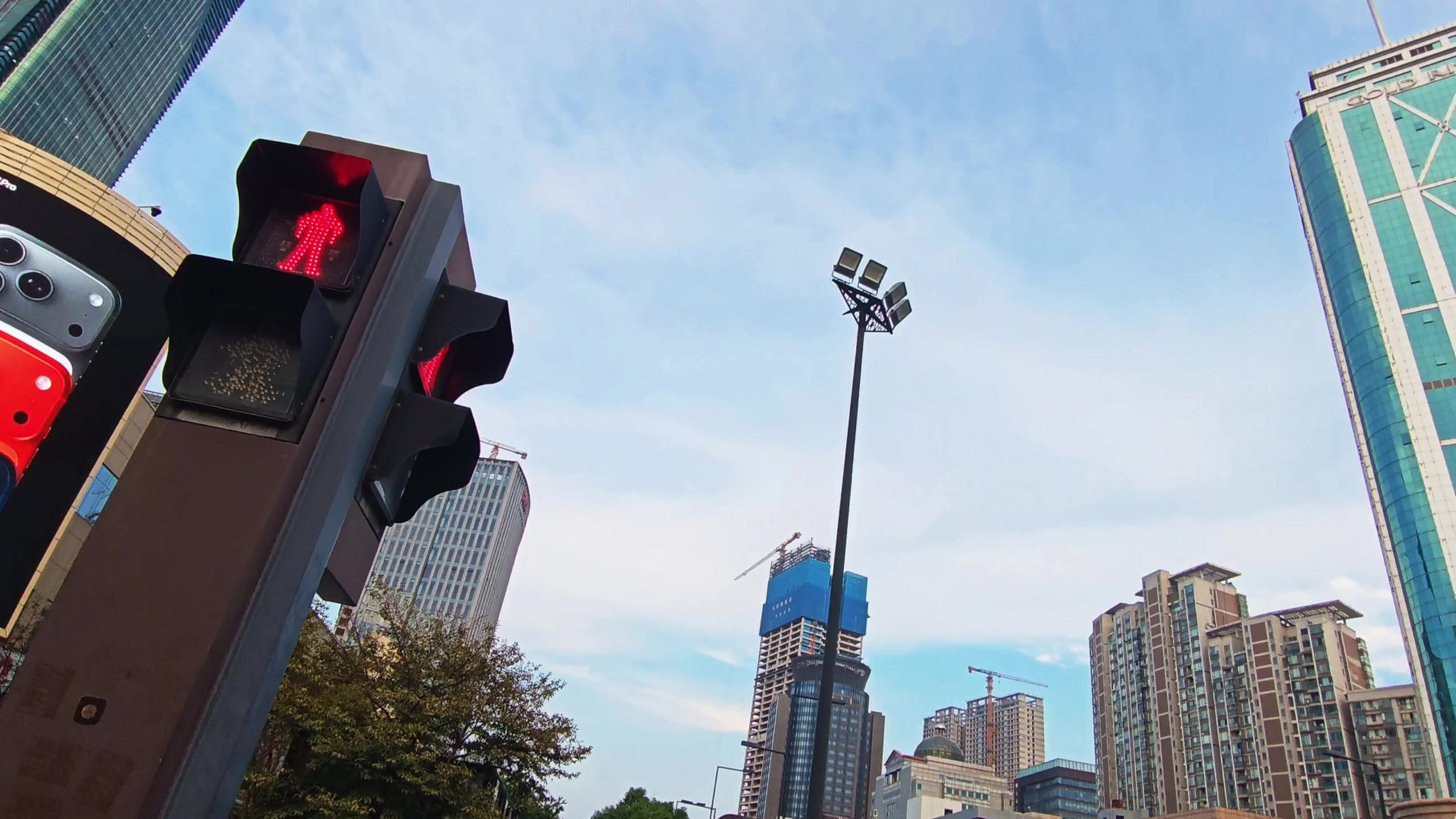买车避坑指南：尝鲜与跟风两大禁忌