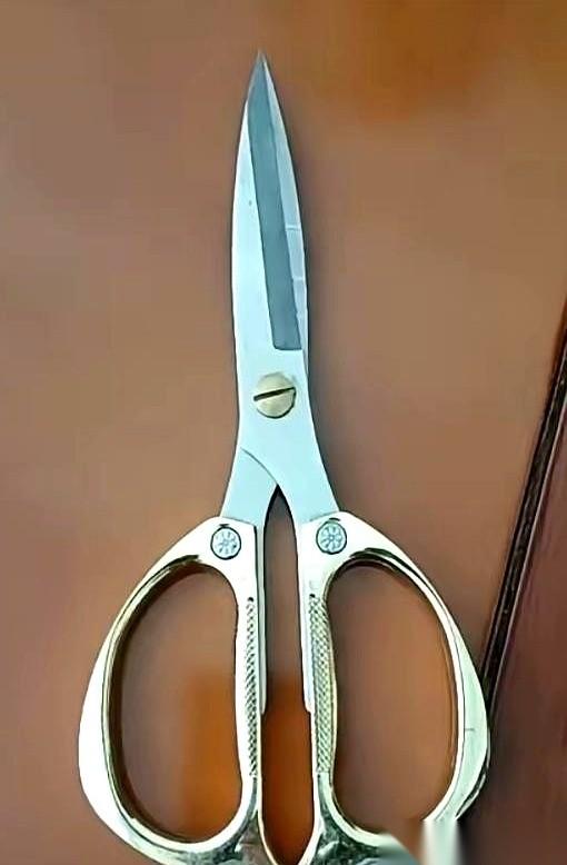 就因为在路边捡了把剪刀，我老公差点跟我“恩断义绝”。真的，活了三十多年，第一次