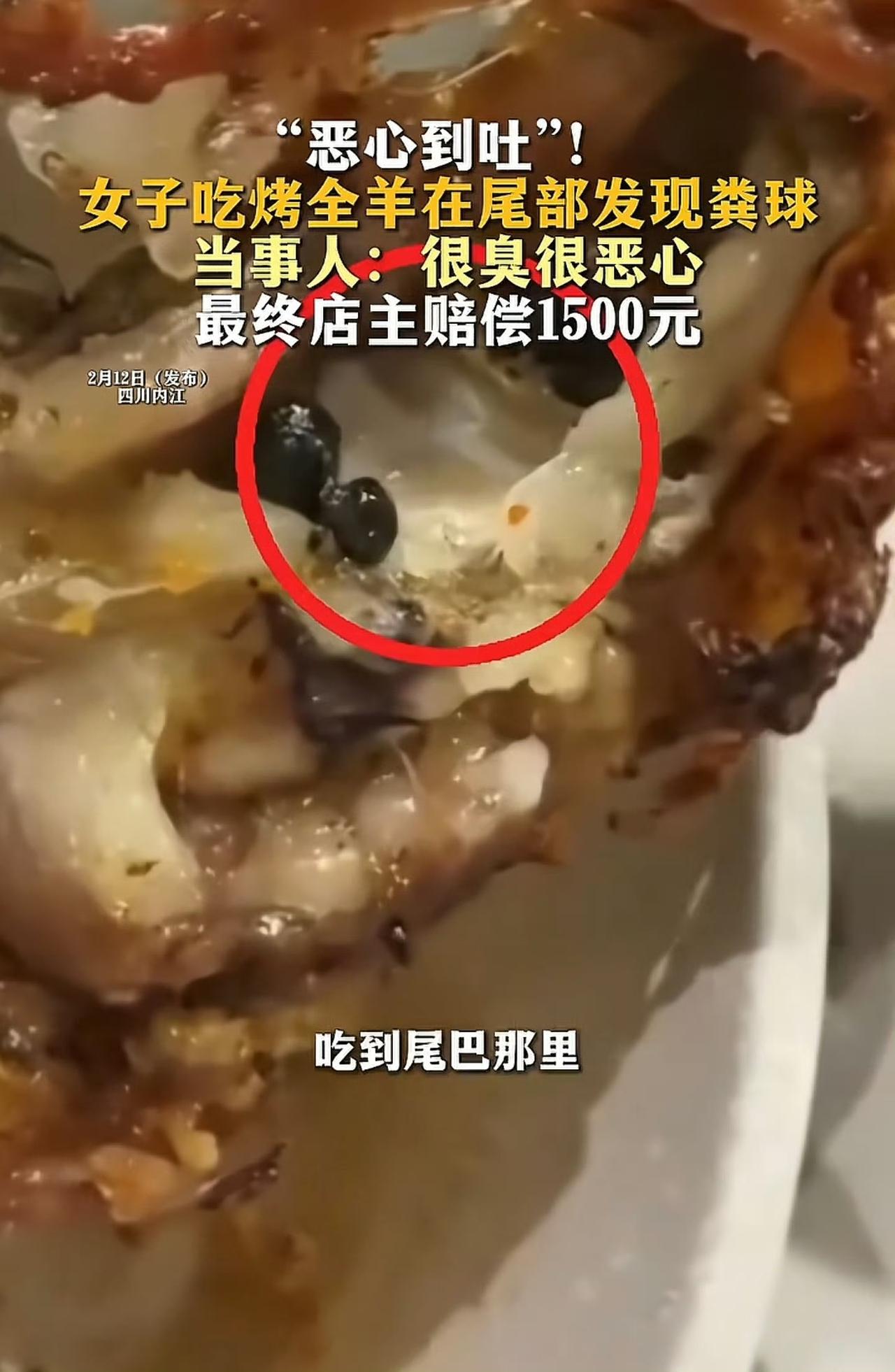 事情是这样的：2月8号，四川内江一位朋友欢天喜地打包了只烤全羊回家，想象中该是外