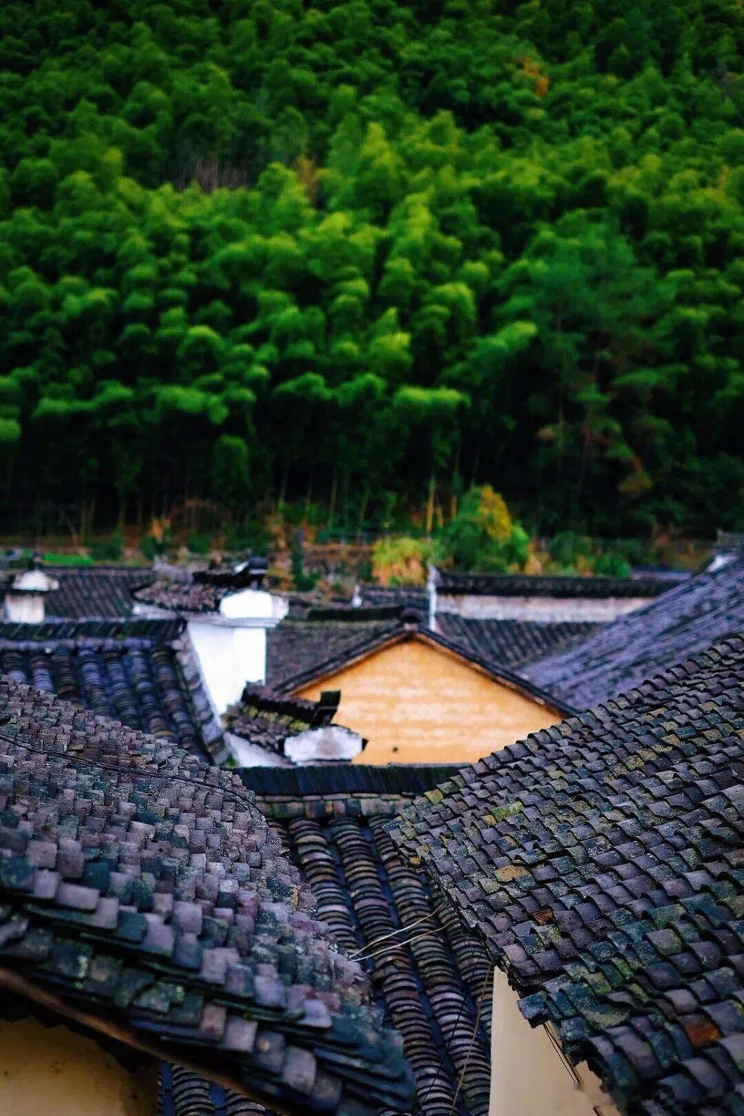 嫌梅雨烦闷的，一定要来桐庐赴一场烟雨江南之约✨富春江游船沉浸式打卡富春山居实景，