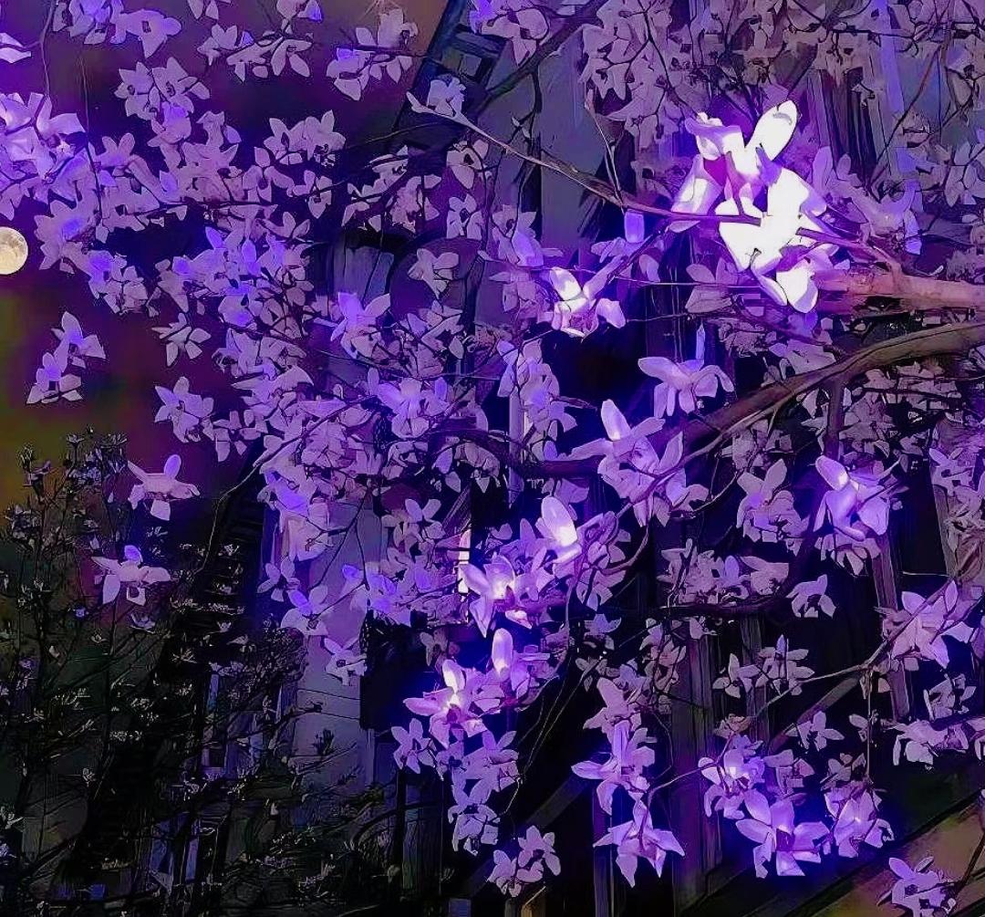 姑娘，你一定要记住：会撒娇的女人命好。撒娇让男人有存在感、有价值感。不被爱的时候