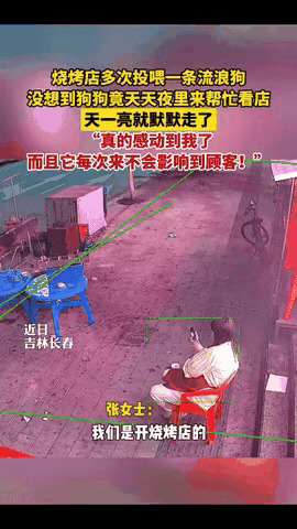 真的被这只流浪狗狠狠戳心！原来最真诚的报恩，从来都不用嘴说，全藏在默默的行动里。