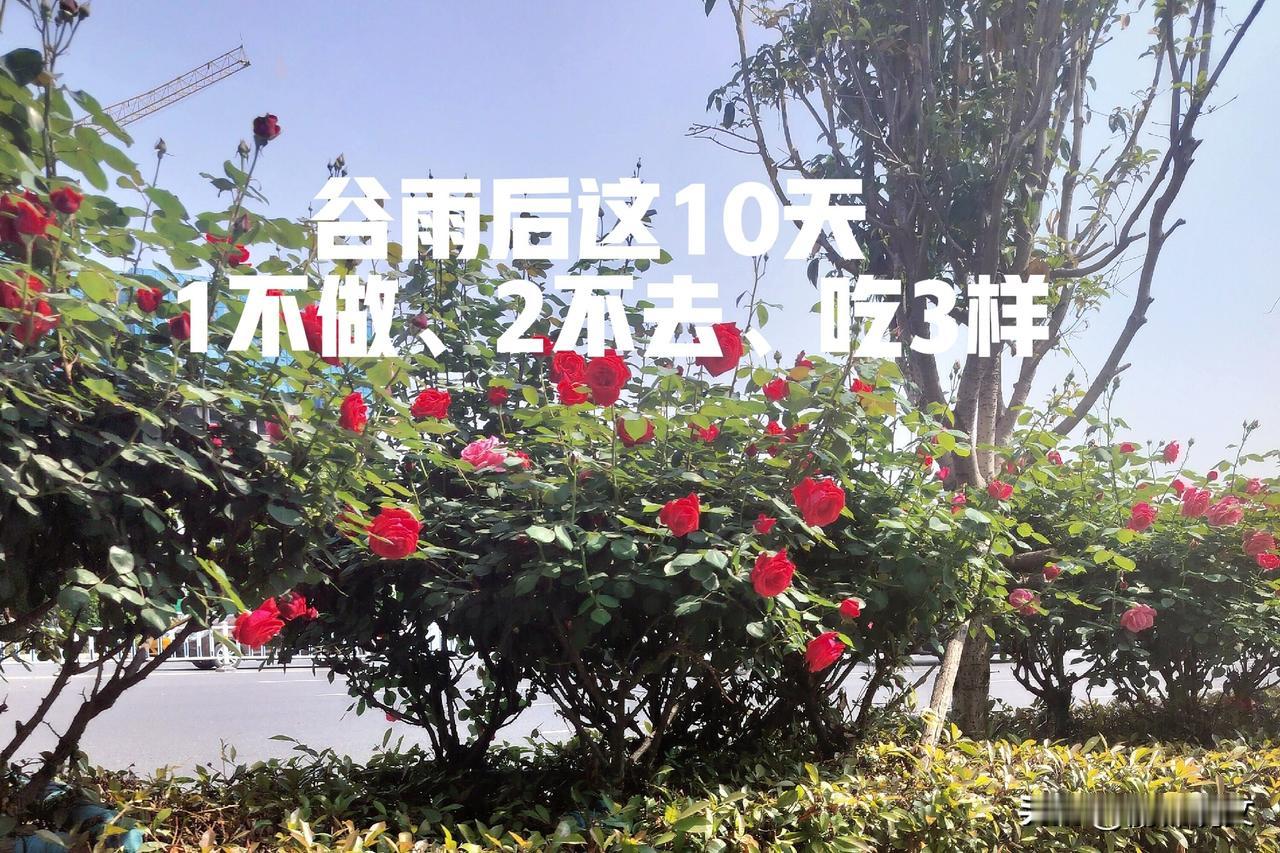 紧急提醒！谷雨后这10天，1不做、2不去、吃3样！全家都要记家人