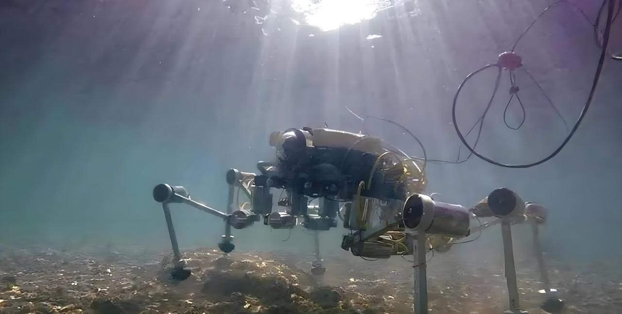 就在刚刚，日本全国上下欢呼雀跃，根据日本共同社2月2日消息，日本宣布，他