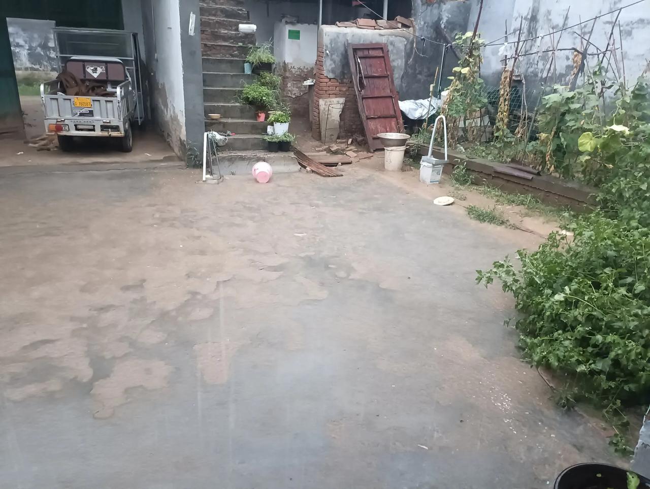 听雨，久违了！今天早上，河南豫东，一场久违的大雨正在酣畅淋漓的下着，坐在