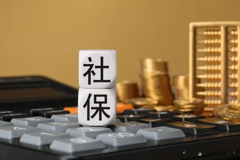 如果交公粮真能换社保，整天吵闹的那些人早就直接去社保局索要养老金了，都是铁一样的