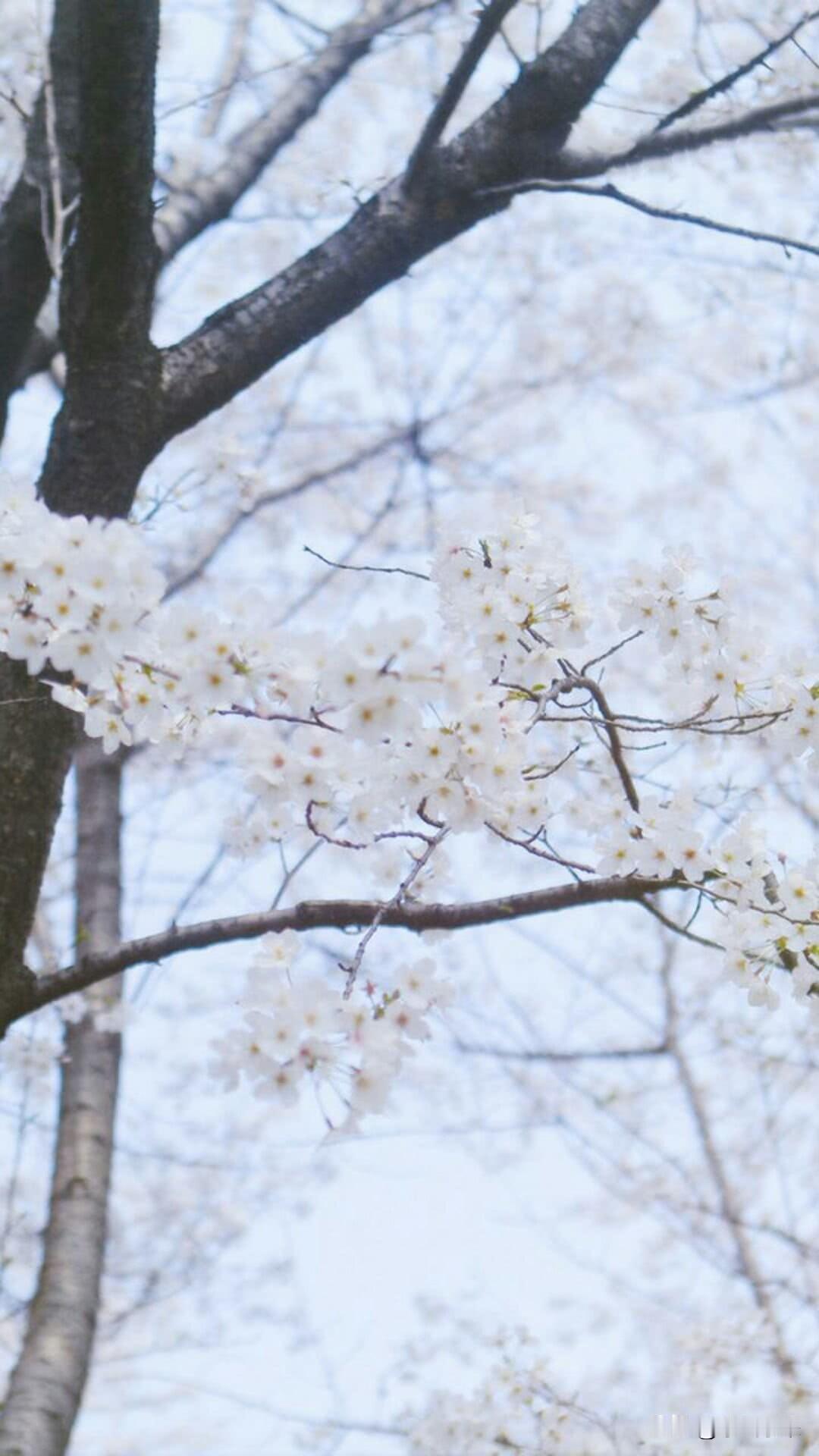 逾期并不可怕，只是我们不敢面对而已！没有逾期以前，拆东墙补西墙，为了钱急得团