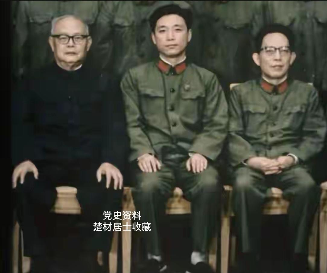 穿军装的未必是真军人不穿军装的未必不是真统帅叶帅坐姿曝光便装下