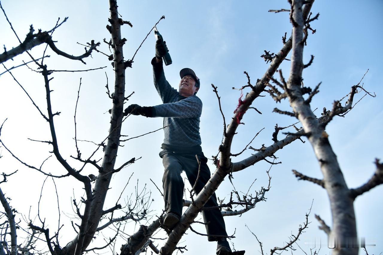 1.5亿退休人员笑醒了！2026年或迎来22连涨，部分人还有更高收入根据近期