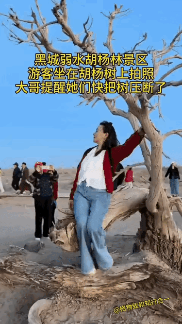 如果断了，估计她要赔到怀疑人生！