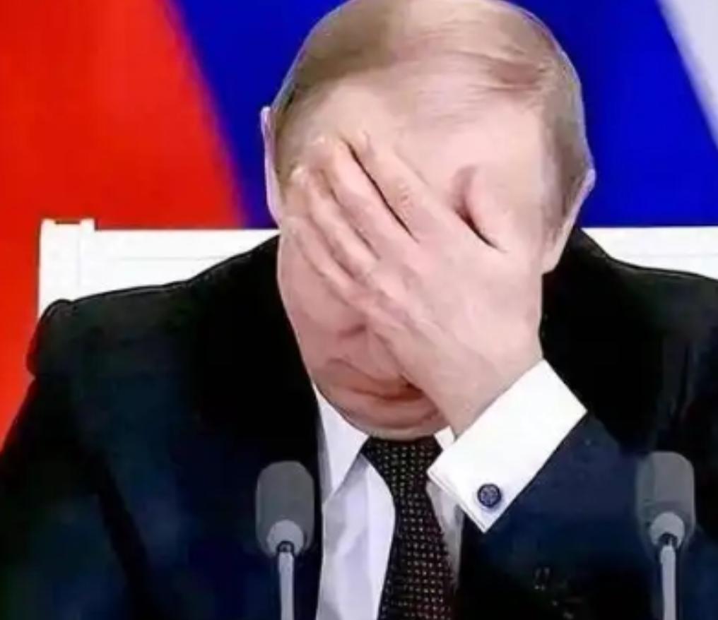 假如普京去世了，战争会不会马上结束？我直说吧，普京要是今天在任上去世了，你最好祈