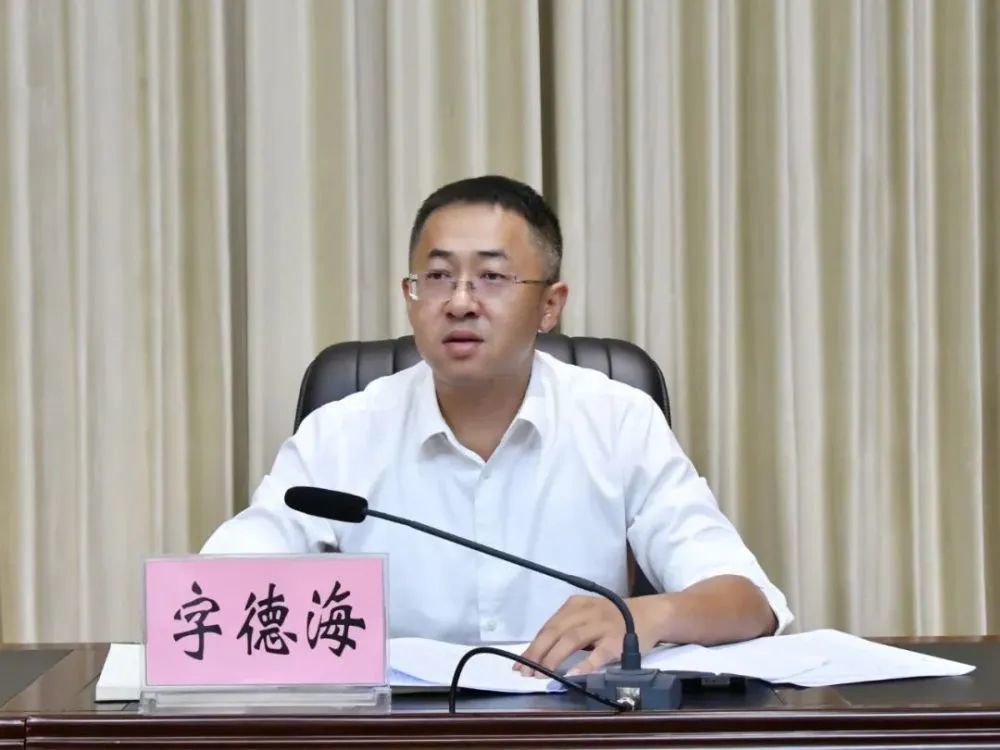 大理市委书记字德海, 任上被查