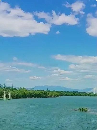最近吃什么水果好？7月盛夏，正是水果最丰盛的时节。这时候吃水果，认准应季、解暑、