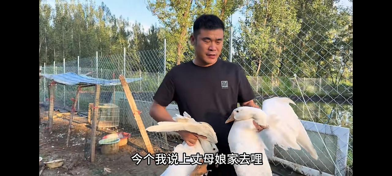 抠门阿杜给丈母娘送鹅本来王老六给李佳娘家逮两个公鹅，让抠门阿杜给丈母娘送去，两