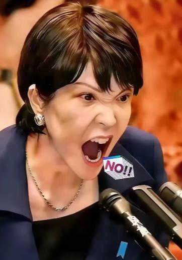 就在所有人都觉得该收手的时候，两个日本巨头，三菱和索尼，突然在中国市场砸下了重注