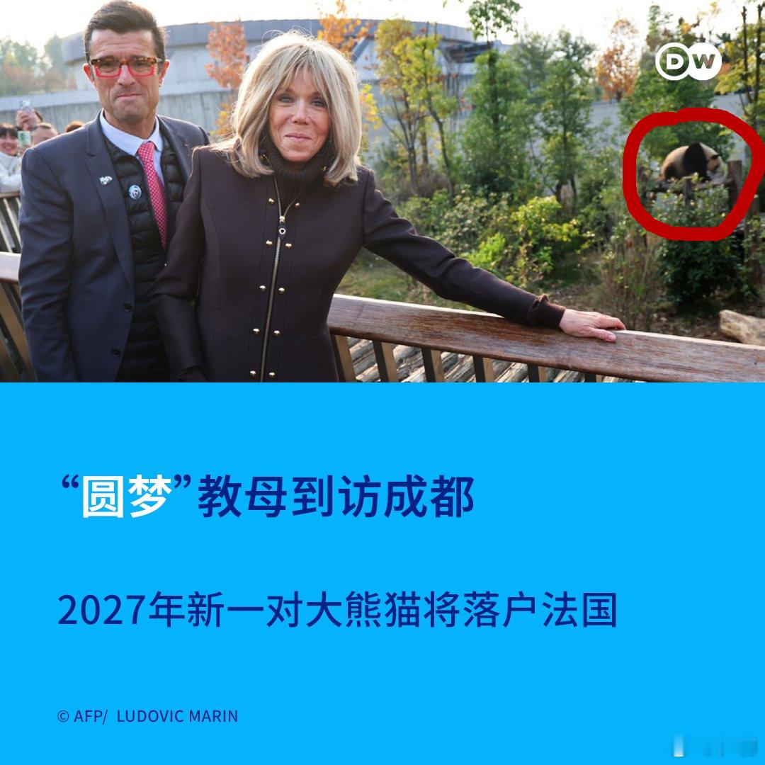 多学学咱们的国宝大熊猫，多淡定.....