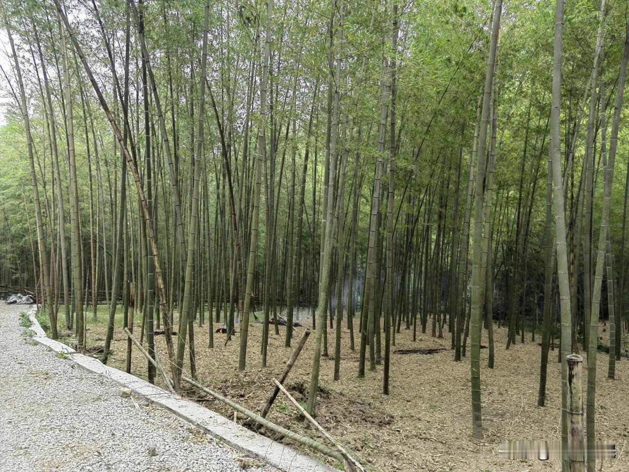 如何避开已婚渣男。二十年前我工作的一名女同事，跟一名博士医生谈