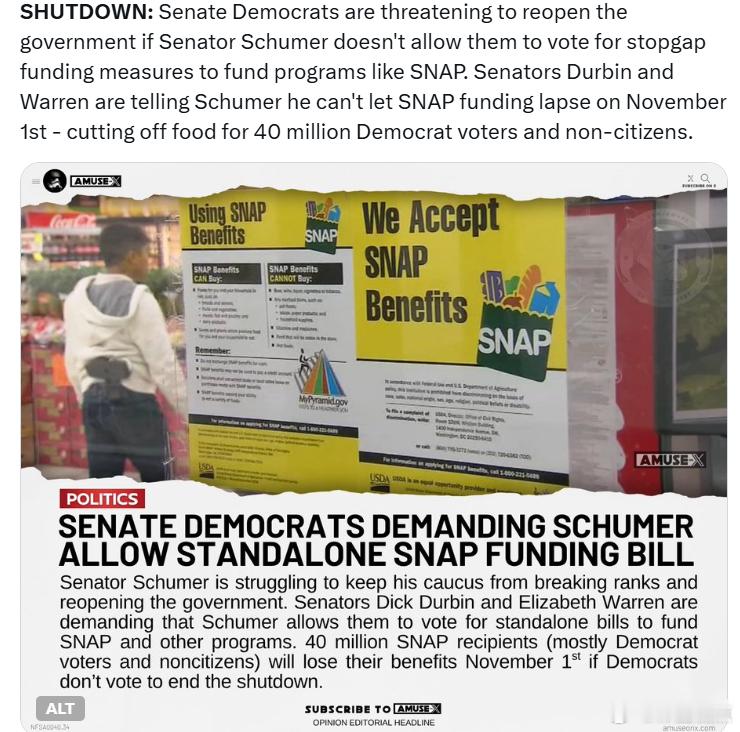 参议院民左党人威胁说，如果参议员舒默不允许他们投票支持临时资金措施来资助像SN
