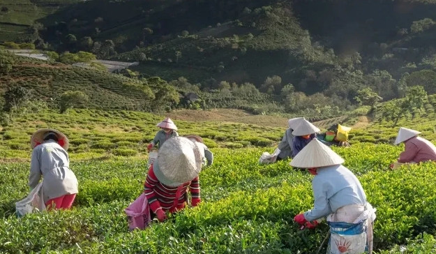 昨天老公出差回来提醒家里避孕套用完了，想着暂时不生三胎，我就去超市采购。结果结账