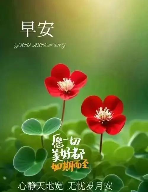 🌞烈日照，赤火烧，近来气温猛升高，防晒防暑很重要，多喝水，休息好，各自身