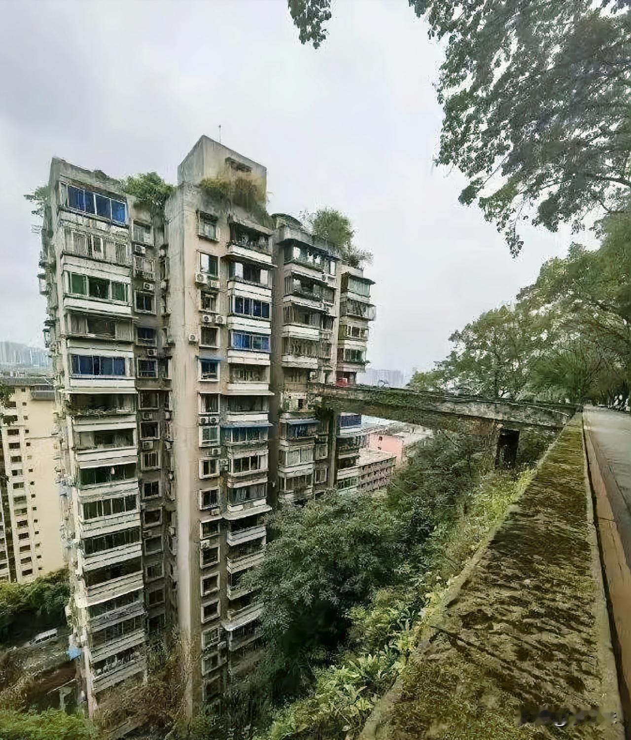 重庆这些房子修的真有特色