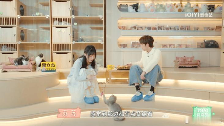 恋爱兄妹综艺胖胖和花花这对cp越来越有看点，真希望他们早点明确关系，不要再拖了！